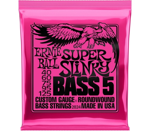 Ernie Ball P02834