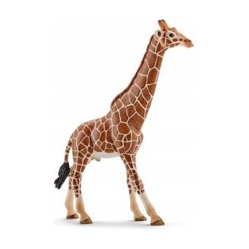 Schleich Wild Life Giraffenbulle