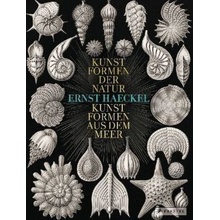 Ernst Haeckel Breidbach Olaf