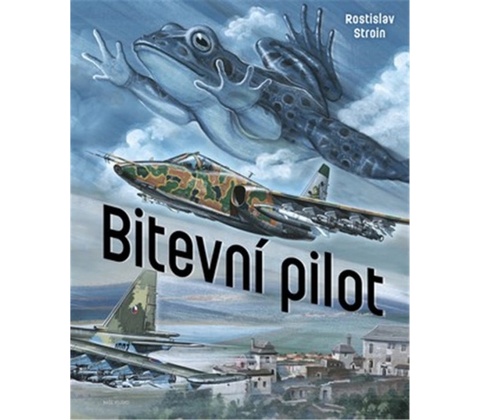 Bitevní pilot - Stroin Rostislav