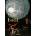 Hieronymus Bosch. L'opera completa. 40th Anniversary Edition | Stefan Fischer