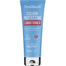 Kondicionéry a balzámy na vlasy Directions Colour Protecting Conditioner 250 ml
