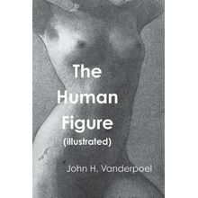 The Human Figure