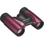 Olympus 8x21 RC II (V656015RU000)