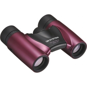 Olympus 8x21 RC II (V656015RU000)