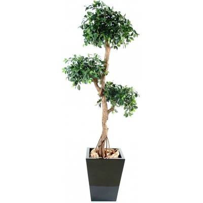 Luxusní umělý strom Ficus Retusa Crazy, 150cm