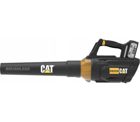 CAT DG250B