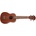 Bamboo Eco 21