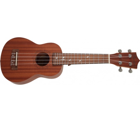 Bamboo Eco 21