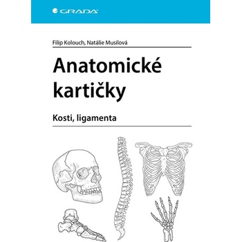 Anatomické kartičky