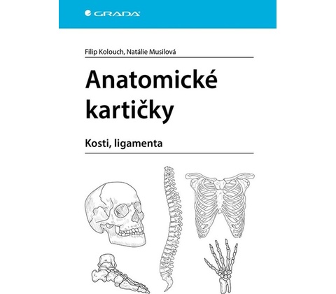 Anatomické kartičky