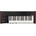 KORG miniKORG 700 FS