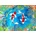 Enjoy - Puzzle Just Keep Swimming - 1 000 piese