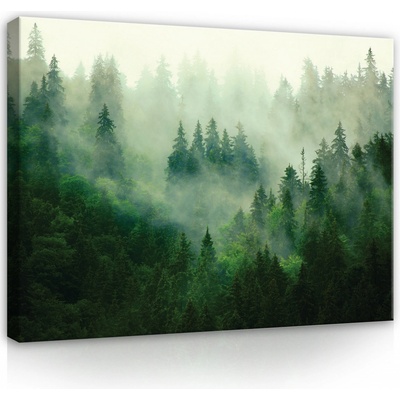 Postershop Obraz na plátně: Nature Forest Forest Fog Green - 100x75 cm