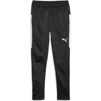 PUMA Панталони Puma Individual Winterized Men's Football Pants 658511-03 Размер S