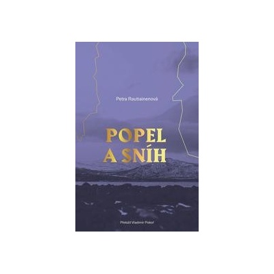 Popel a sníh