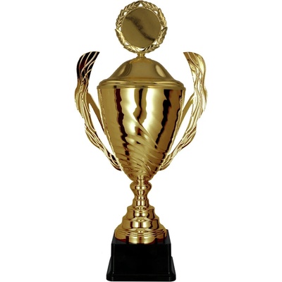 Kovový pohár Zlatý 36,5 cm 14 cm – Zbozi.Blesk.cz