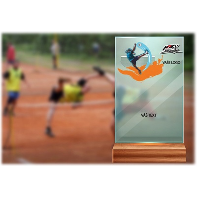 Skleněná trofej na dřevěném podstavci Nohejbal 17 cm – Zboží Dáma