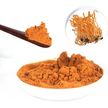 Hlavnězdravě Cordyceps extrakt 35% polysacharidů 50 g