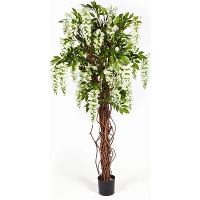 Vistárie přírodní kmeny DELUXE, bílá, 180 cm