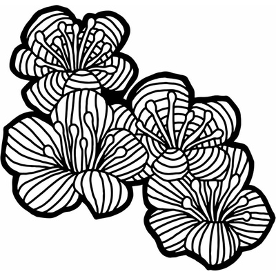 Šablona TCW 6"x6" (15,2x15,2 cm) - Hawthorn Flowers – Zboží Dáma