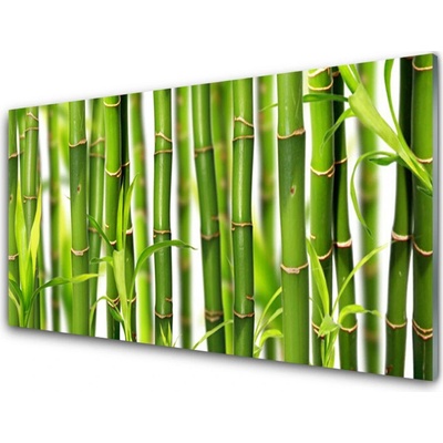 Skleneny obraz Bambusové výhonky listy bambus 100x50 cm