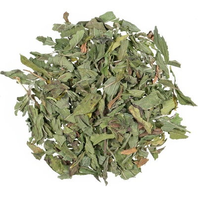 Florapharm Bylinný HI Máta peprná 1 kg
