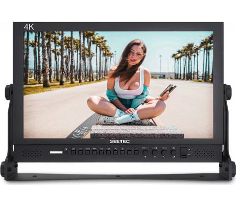 Seetec P173-9HSD