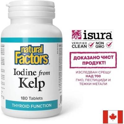 Natural Factors Норвежки келп - За щитовидна жлеза и хормонален баланс, 180 таблетки (2501 nf)