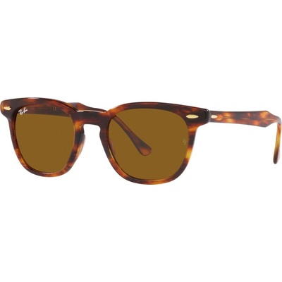 Ray-Ban RB 2298 954 33