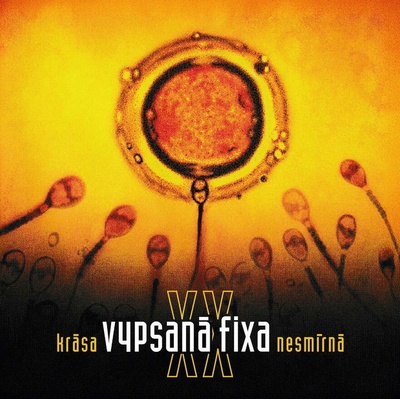 Vypsaná Fixa - Krása nesmírná XX Vinyl LP