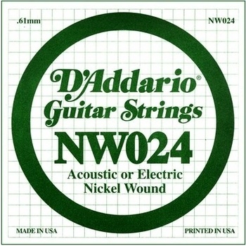 D'Addario NW 024