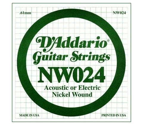 D'Addario NW 024