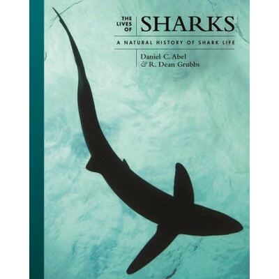 The Lives of Sharks - A Natural History of Shark Life | Daniel Abel, R. Dean Grubbs