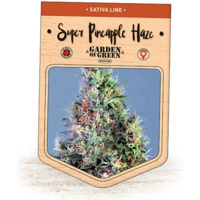 Garden Of Green Seedbank Super Pineapple Haze semena neobsahují THC 3 ks
