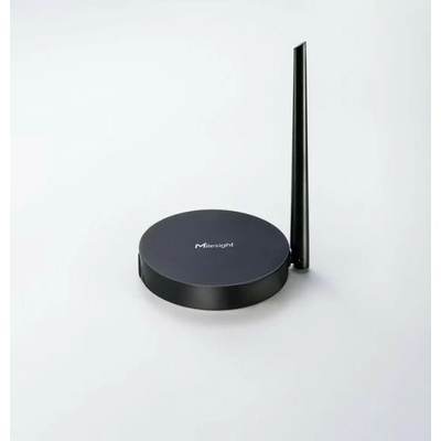Milesight HL31-L08EU-868M