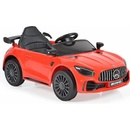 Moni Mercedes AMG GTR (109229/30)