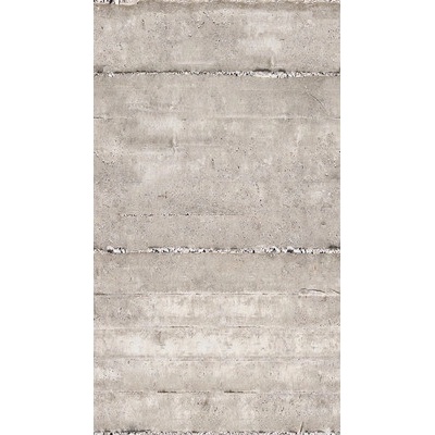 392521 Vliesový panel The Wall, rozmery 159 x 280 cm
