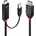 Lindy Lindy кабел, HDMI към DisplayPort, черен/червен, 3м (41500)