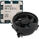 AMD Ryzen 5 9600 6-Core 3.8GHz AM5 MPK (100-100000718MPK)