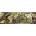 Dino - Puzzle Jurassic World 150 - 150 piese