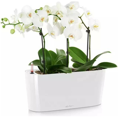 Lechuza Samozavlažovací květináč delta 10 bílá 11 x 30 x 13 cm – Hledejceny.cz
