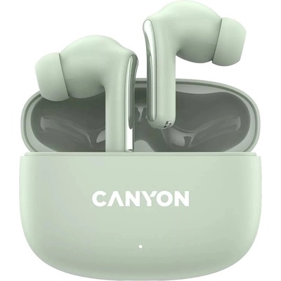 Canyon TWS-9