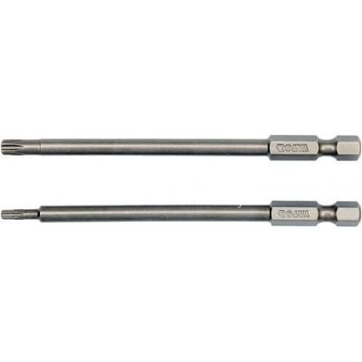 Sada bitov 1/4" 2 ks TORX L=100 mm T10, T25 - YT-0490