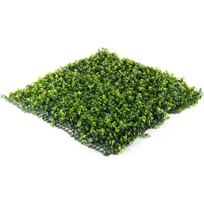 Umělý živý plot Hawaj Buxus High | Stěna 100 x 100 cm SY188004A