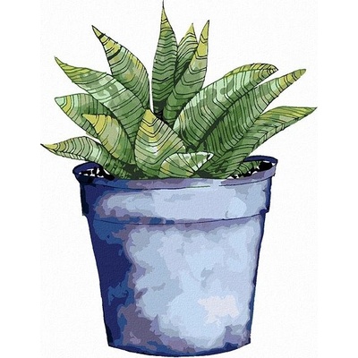 zuty Malování Podle Čísel Sukulent V Modrém Květináči Alexandria Gilbert 40 x 50 Cm Plátno Rám