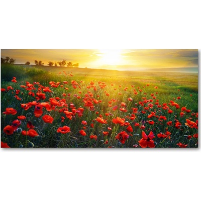 Foto obraz fotografie na skle pole makov 100x50 cm
