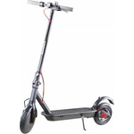 Raider 549650