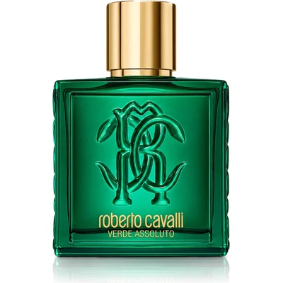 Roberto Cavalli Uomo Verde Assoluto parfémovaná voda pánská 100 ml