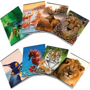 Тетрадка Pigna Animal Maxi A4 42 л (A4 42)